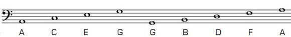 bass notes bass notes
