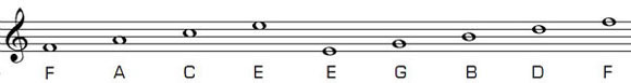 bass notes bass notes