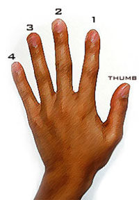 fingering placement for chords fingering placement for chords